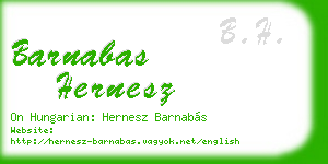 barnabas hernesz business card